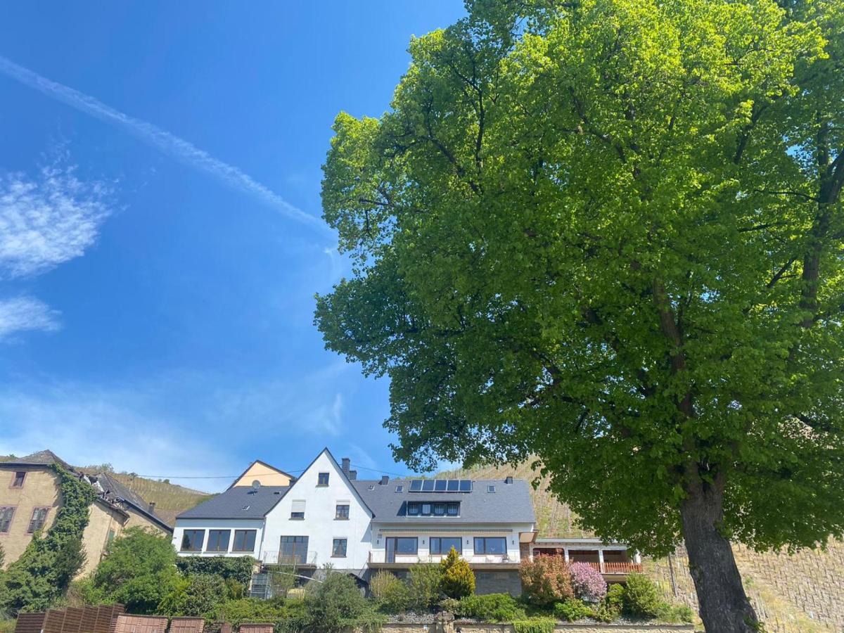 Wein Und Gastehaus Marlene Pohl Hotel Kinheim Luaran gambar